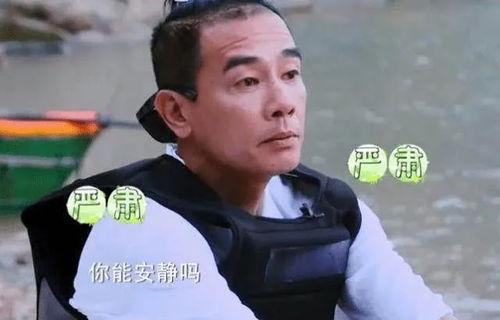 小小春的粉丝娱乐圈,娱乐圈中的青春力量